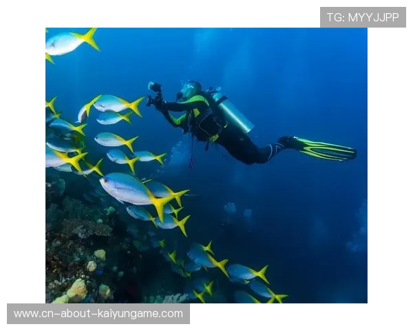 圣基茨和尼维斯举行地区性篮球比赛，圣基茨和尼维斯联