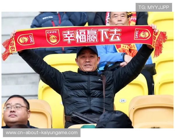 职业俱乐部的赞助商匹配度